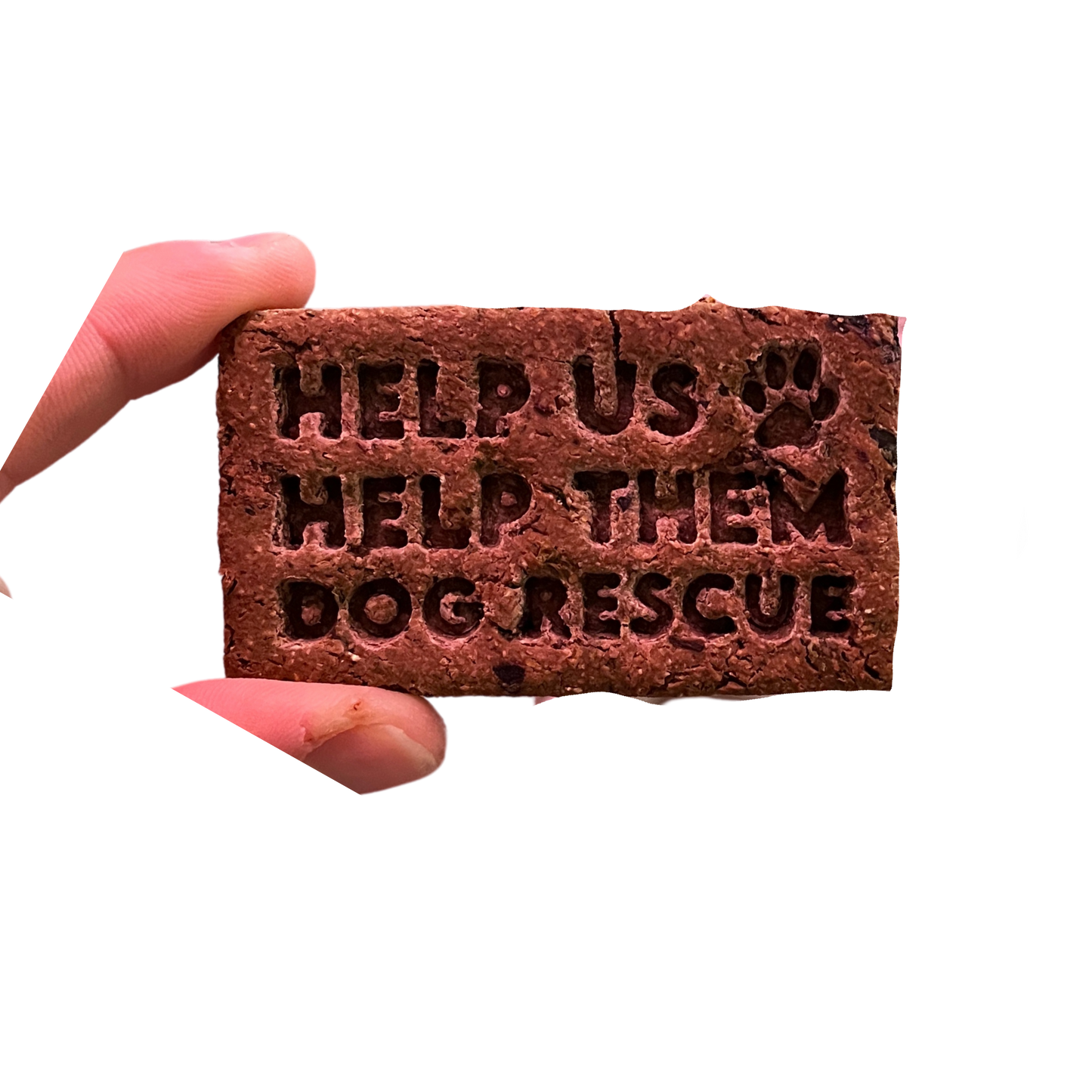 Help Us Health Them Dog Treat